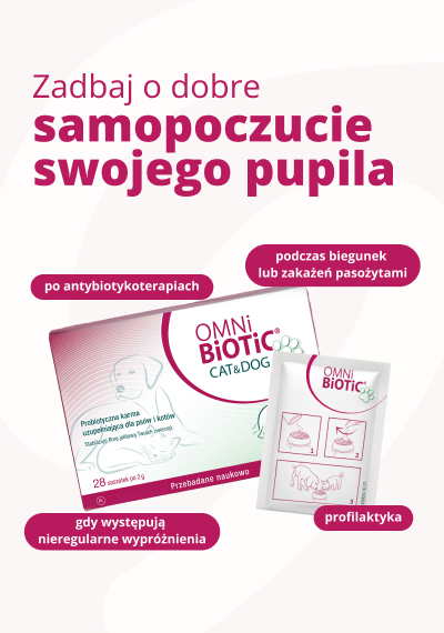 Dobre samopoczucie Twojego pupila. Probiotyk dla psa i kota. OMNi-BiOTiC Probiotyk dla psa i kota.