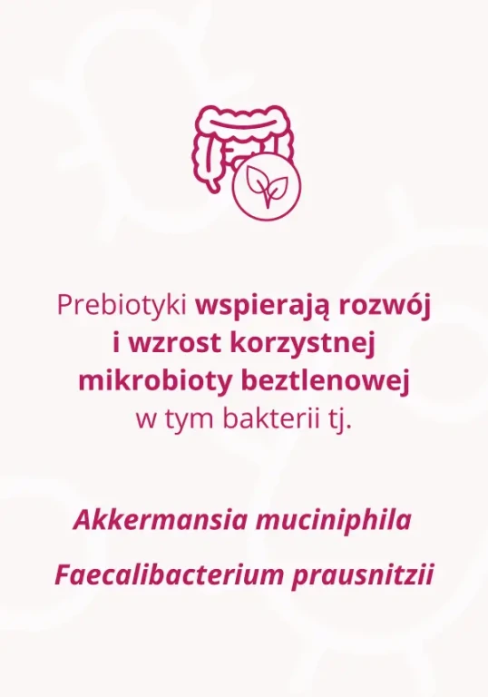 Prebiotyki wspierają rozwój i wzrost korzystnej mikrobioty beztlenowej