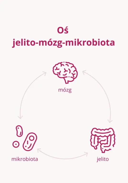 OMNi-BiOTiC® oś jelito - mózg - mikrobiota jelitowa