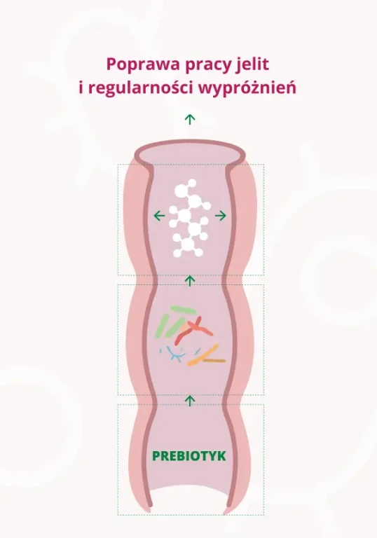 OMNi-LOGiC® Immune poprawa pracy jelit