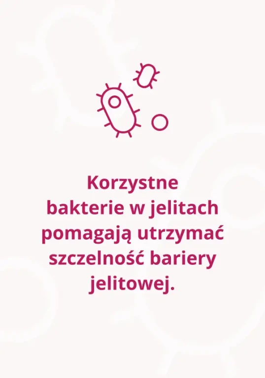 Bakterie w jelitach pomagają utrzymać szczelność bariery jelitowej